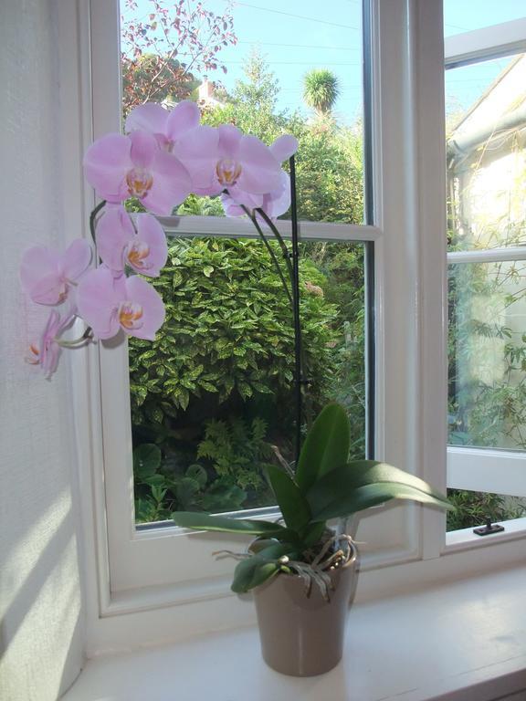 The Fernery B&B Lynton Oda fotoğraf